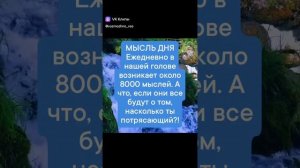 Мысль дня