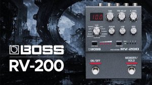 Boss RV-200 Reverb with OB-6 Synth: Budget Friendly Reverb for Live Performer