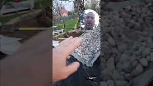 Технология береговой линии пруда с биоплато без отсыпки камнями: плавный спуск газона в воду