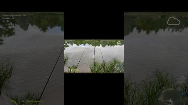 русская рыбалка 4  озеро Янтарное #shorts смотреть онлайн