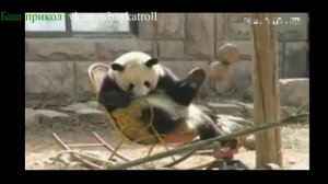 Ҡытҡылдаtion № 2 Башкирские приколы