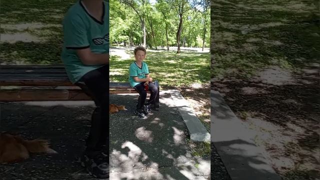 1000204029.mp4