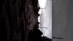 большой вьяс пензенская область