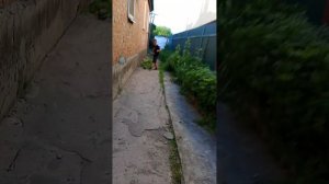 2 обучение игрока