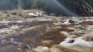 Природа Челябинской области