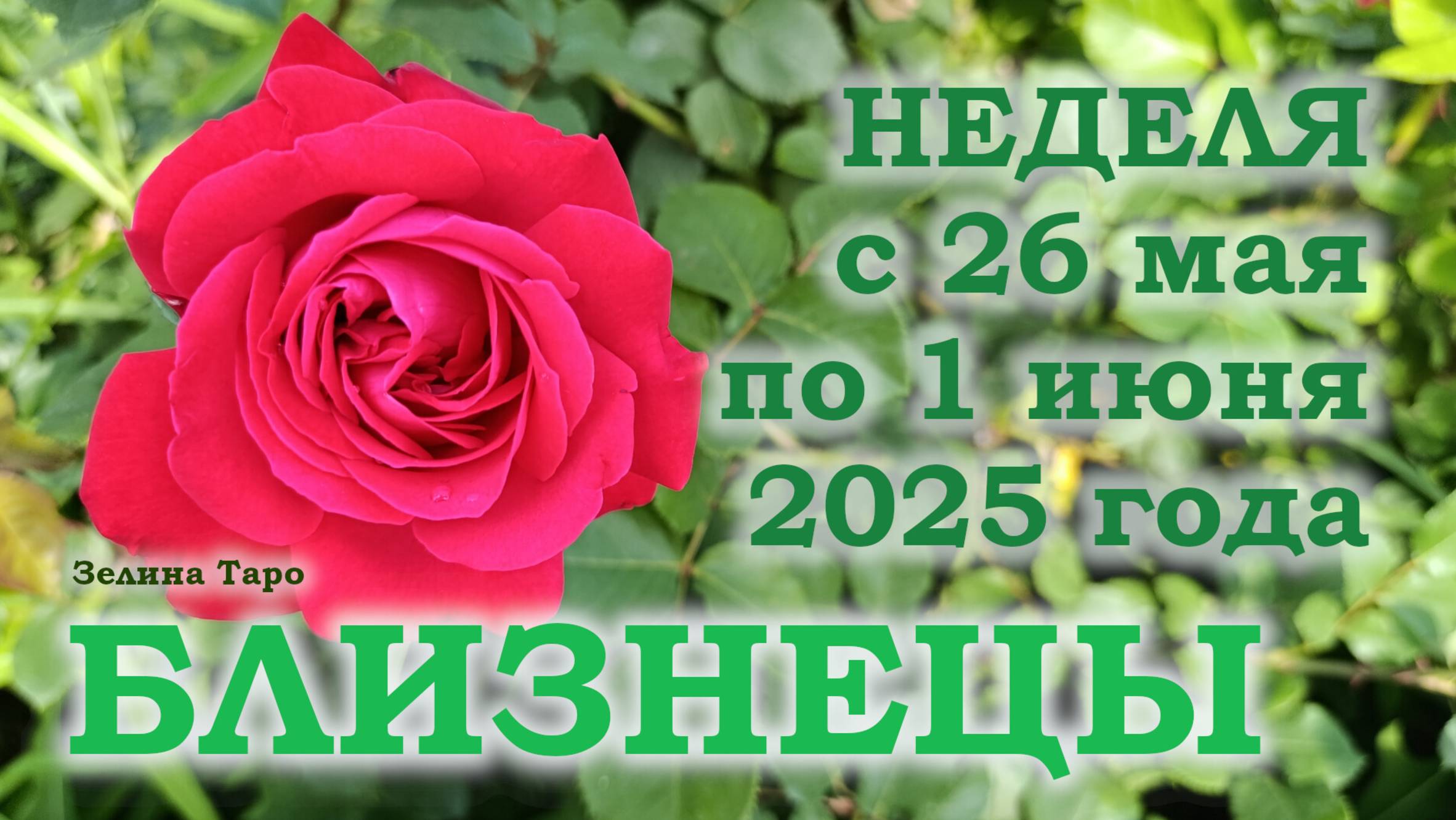 БЛИЗНЕЦЫ | ТАРО прогноз на неделю с 26 мая по 1 июня 2025 года