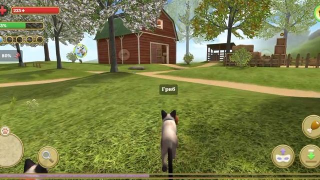 Симулятор кота. Четвёртая часть смотреть онлайн