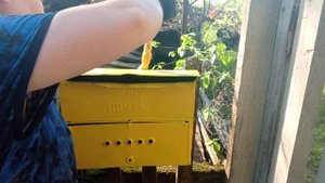 Почтовый ящик.