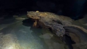 УЖАС КАРАДАГА!!! Карадагский Змей и Другие Загадки Кры?