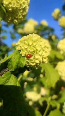 Красота природы