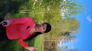 Участок Озеро Коркино Спб 10км