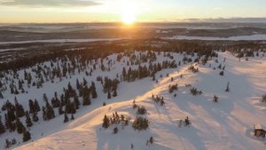 Холодно. Кавер скрипка. Океан Ельзи