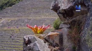 Мачу-Пикчу: древний город Инков