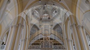 Собор непорочного зачатия Девы Марии - главный католи?