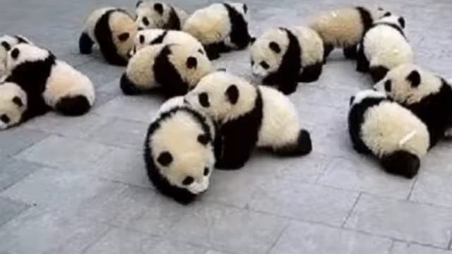 пандики|НяМм смотреть онлайн