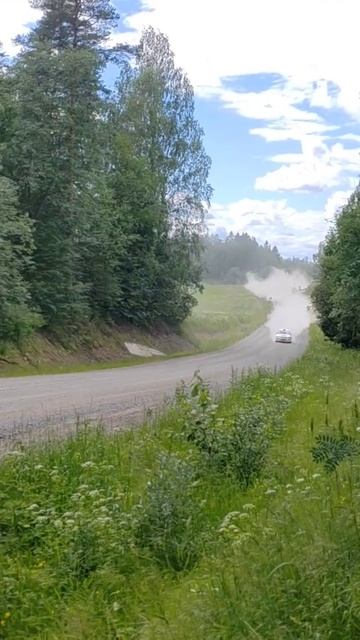 Ралли Белые Ночи 2024 смотреть онлайн