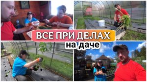 ВЛОГ! Навели порядок на даче🙂/Посадили помидоры в теплице🍅/Наводим порядок на даче/Дачные будни!!!