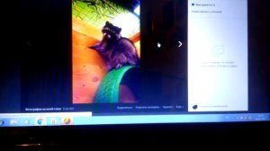 Лошади из пластилина