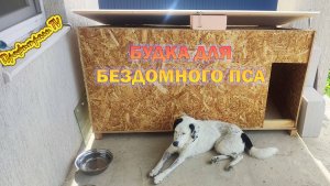 Будка для бездомной собаки или как спасти Бима