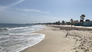 🌴Ситуация в Тунисе на конец марта 2025 г🌴Сус готовит?
