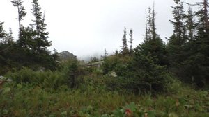 Кузнецкий Алатау. Хребет Скалистые горы. Водопад "Сере