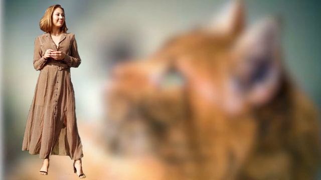 Маша с днём рождения смотреть онлайн