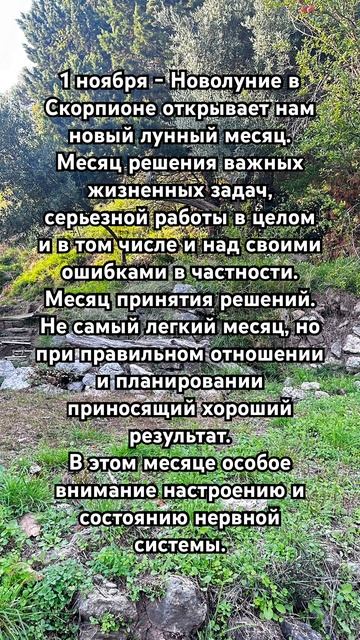 1 ноября Новолуние в Скорпионе открывает нам новый лун смотреть онлайн