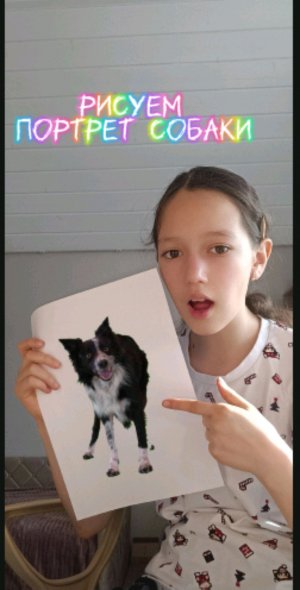 Рисуем портрет собаки! #топыкатегорий