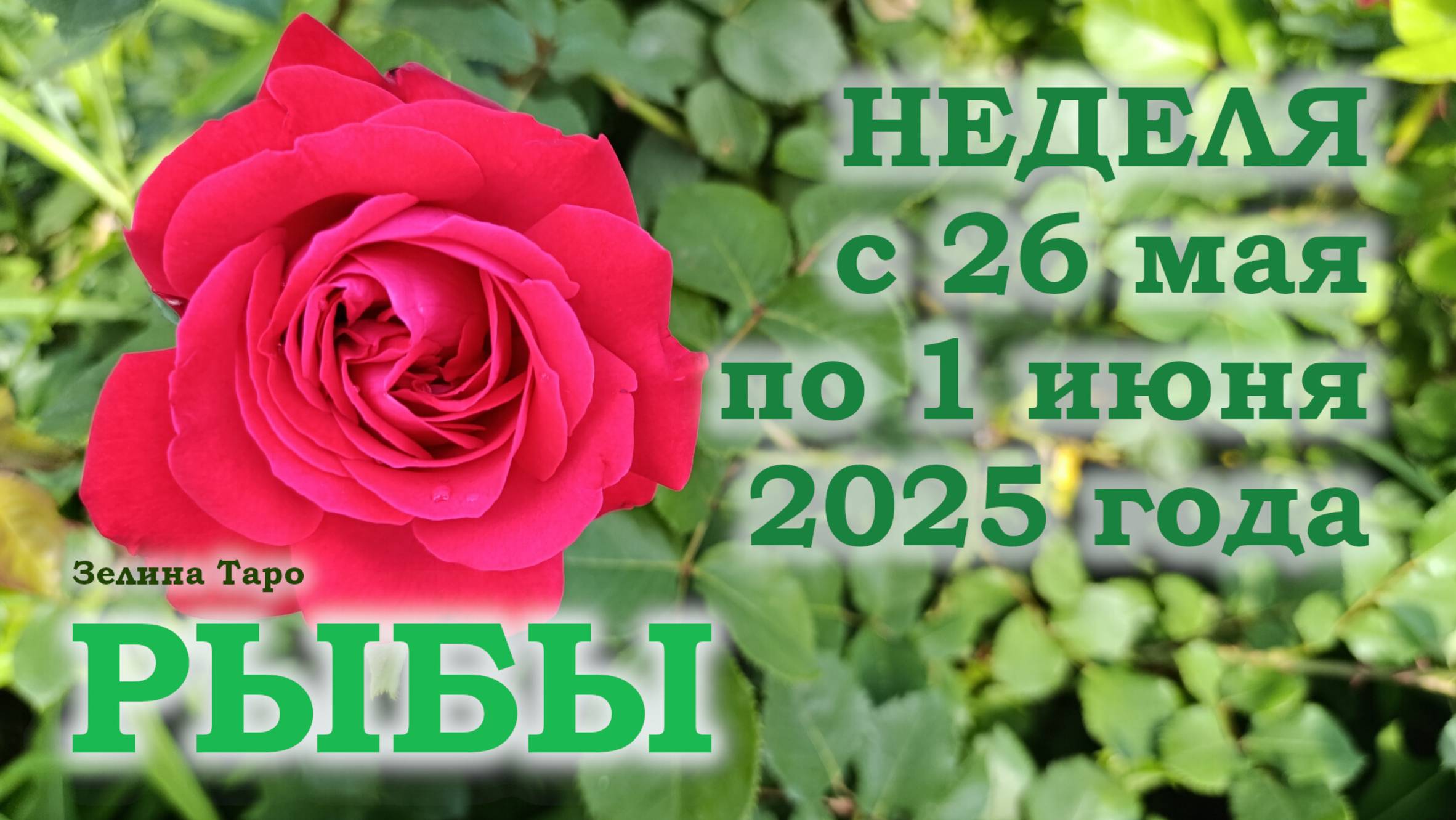 РЫБЫ | ТАРО прогноз на неделю с 26 мая по 1 июня 2025 года