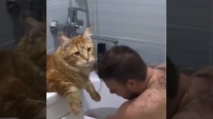 А что это вы здесь делаете?🤣