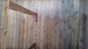 Снова заморозки, подмёрз виноград, продолжаем сажать и сеять