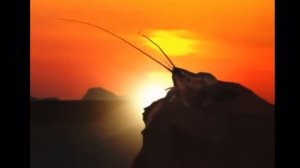 рак свиснул на горе