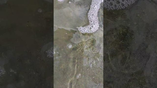 Озеро лечебное с лечебной грязью Евпатория, Заозерное