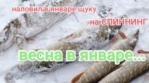 В январе открыл сезон на спиннинг.