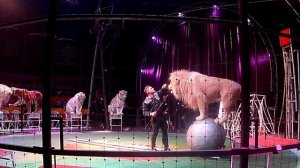 VLOG: ЦИРК ДЕМИДОВЫХ В ЕГОРЬЕВСКЕ