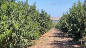 Чем заняться в Тамани ? Достопримечательности Тамани ,