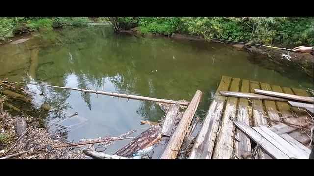 Рыбалка на р. Домугда.