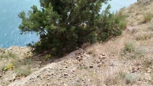 Активный отдых ( сильный ветер ) .