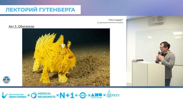 Тайны морского дна: как учёные изучают жизни под водой