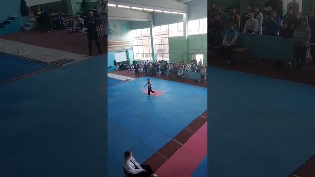 Тхэквондо, фристайл 20.02.24 смотреть онлайн