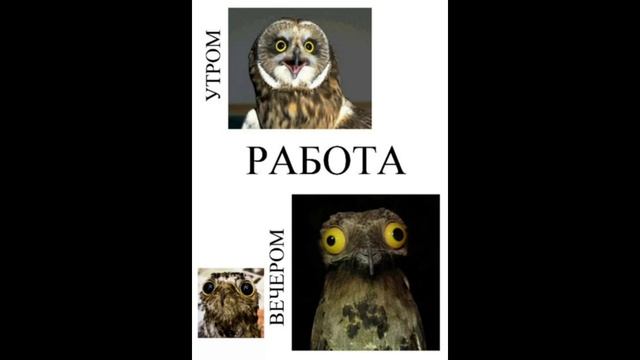 мемчики