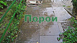 Порои