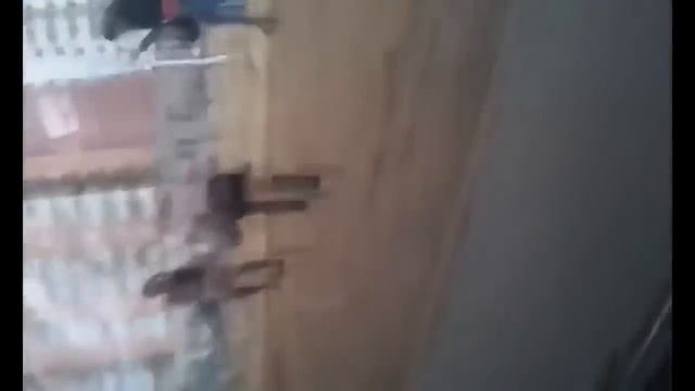 Приколы с девушками  Девчонки отжигают  Прикольные девчонки отжигают  Девчонки  Юмор  Подборка смотреть онлайн