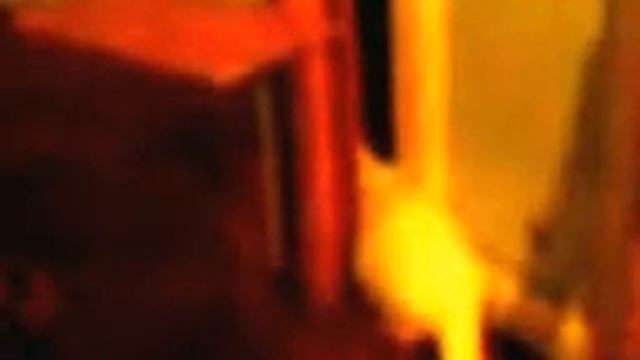 прикольная кошка