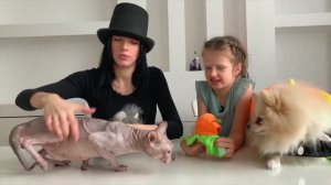 Модные игрушки для питомцев и  костюмчики на Хэллоуин! NEWCHIC  посылка