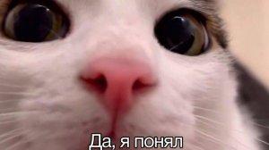 Конфигурирование Windows 10. ДЗ_БВ522 Липилина