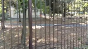 Город Mira 5*. Второй год подряд. Стало хуже. Город Мира от