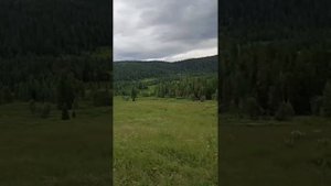 Горный Алтай дорога на озера Красной горы