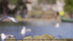 Музыка качает душу сильнее любого прилива - Live Inside a Dream -- Ayla Nereo -- Play Me a Time