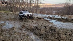 Toyota Land Cruiser in the spring forest (в весеннем лесу)